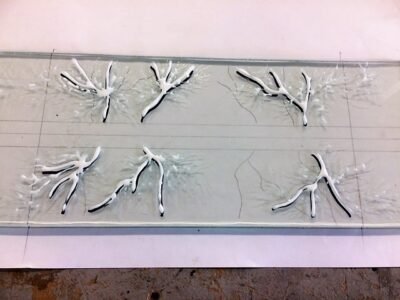 Oude Boom - 04